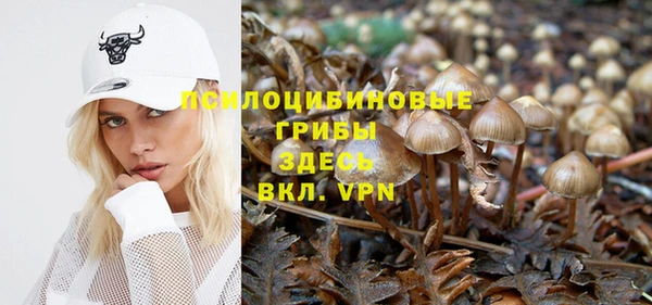 спиды Инсар