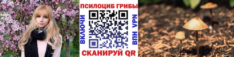Псилоцибиновые грибы GOLDEN TEACHER  закладки  Малмыж 