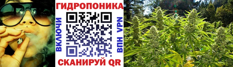 mega Малмыж Конопля THC 21%